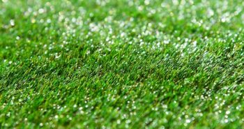 כל מה שרציתם לדעת על התקנת דשא סינטטי בגינה 